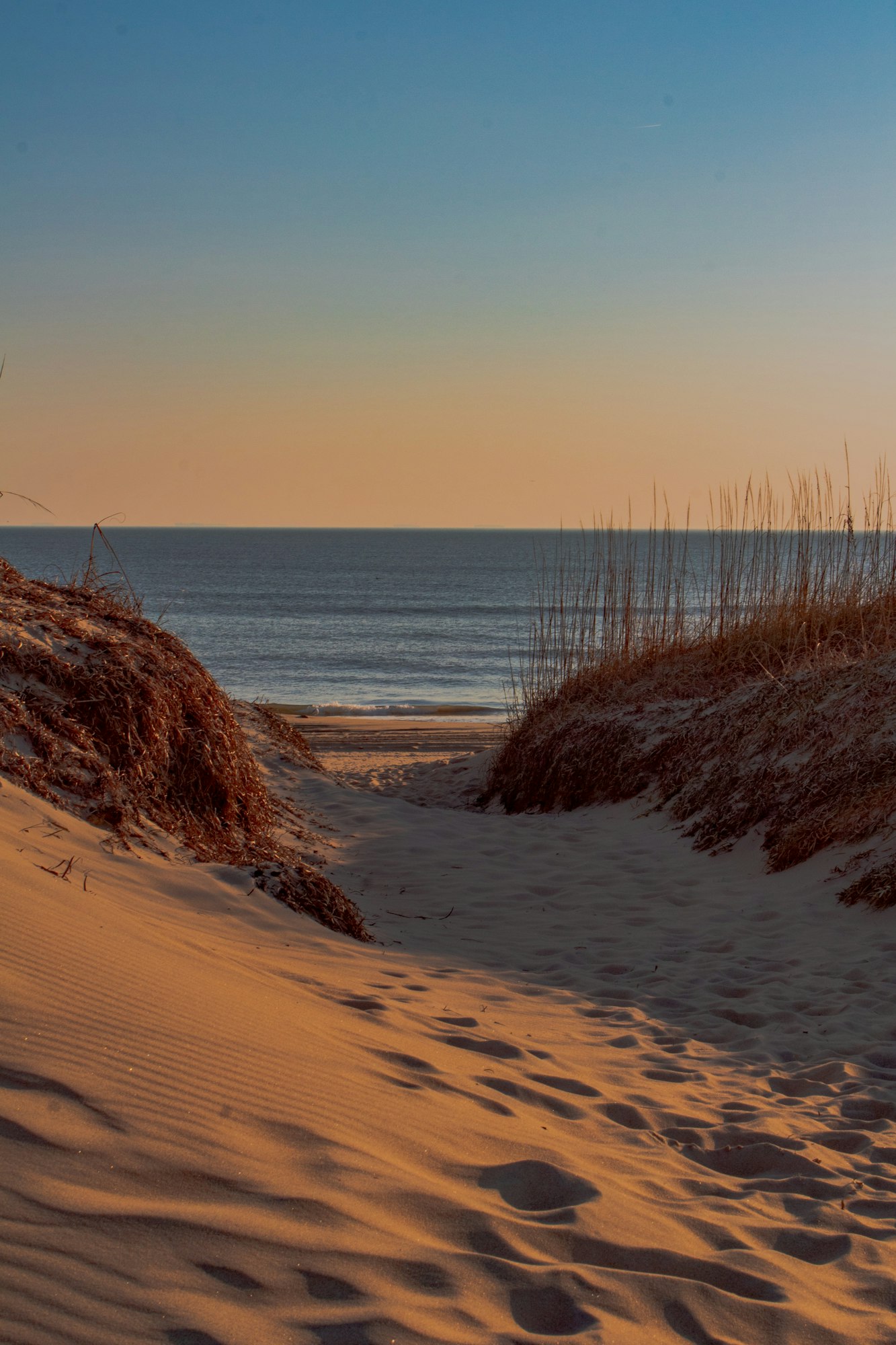 The coast view from the dunes