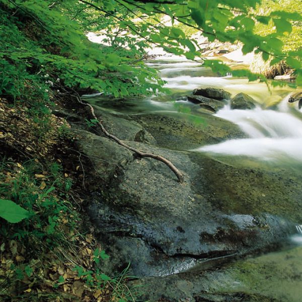 Sorgente e natura – Abruzzo